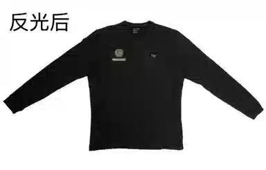 Arcteryx RHO LT logo