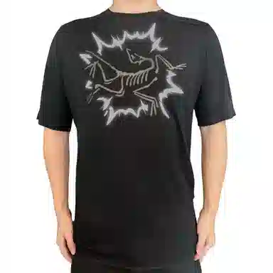 Arcteryx Ionia Merino Wool BOOMlogoT