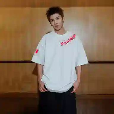 PAUL COSTELLOE Logo 2