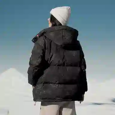 SNOW FLYING 85