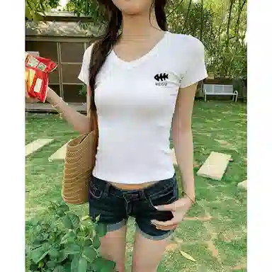 HEISU V T