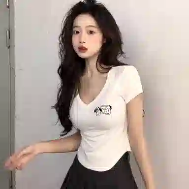 HEISU V T