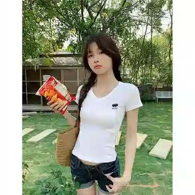 HEISU V T