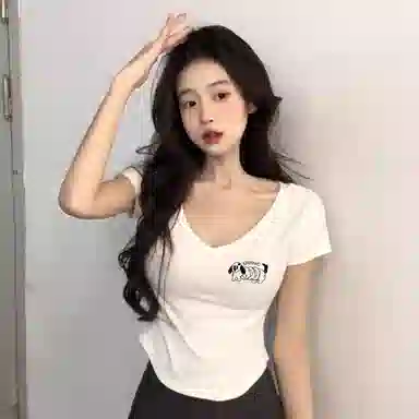 HEISU V T