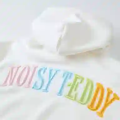 NOISY TEDDY
