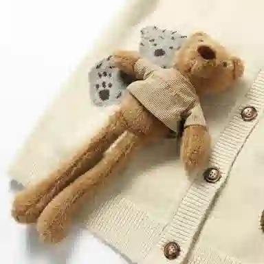 NOISY TEDDY