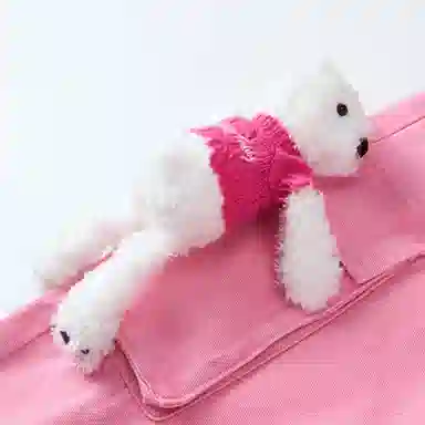 NOISY TEDDY
