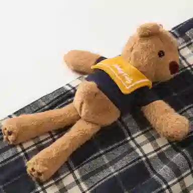 NOISY TEDDY