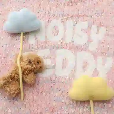 NOISY TEDDY