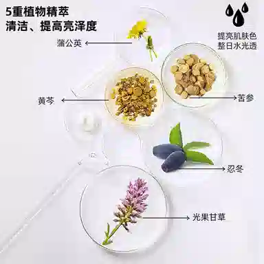 丝幕 绿茶控油清洁泥膜 紧致 收缩毛孔焕颜