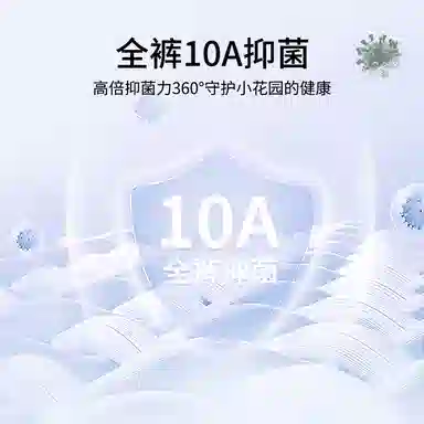 Rich Dragon A10A