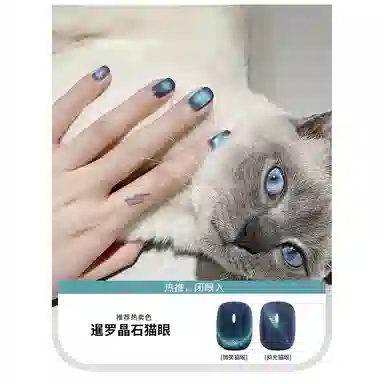 恩妮诗 绿宝石晶石猫眼甲油胶 流行显白百搭