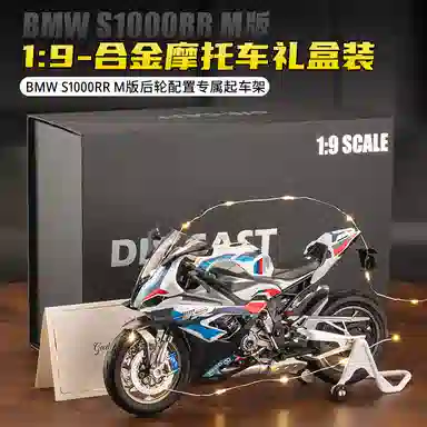 MX S1000RR M 19