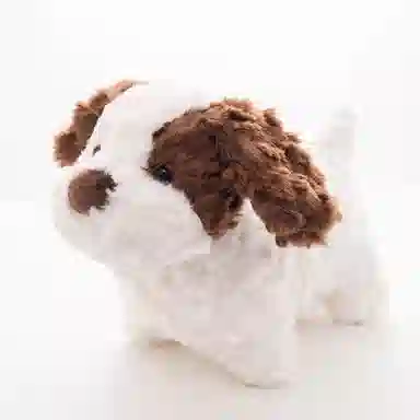 23cm