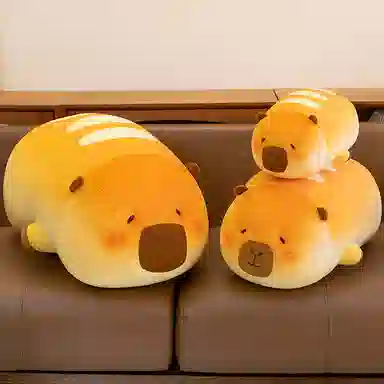 40cm50cm70cm