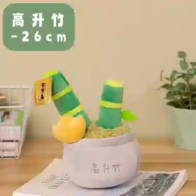 26cm
