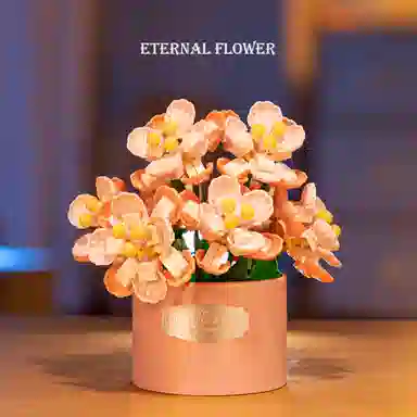 diy 800pcs DMY-JM-22