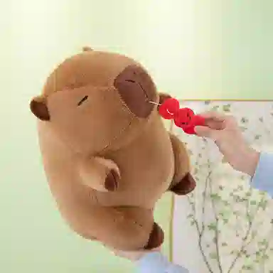 30cm40cm50cm