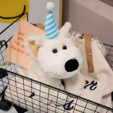 28cm40cm