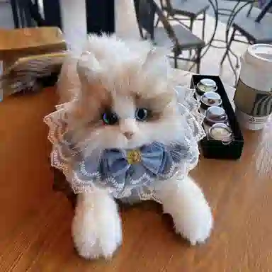 朵喵呦 仿真布偶猫毛绒可爱小猫咪公仔 安抚陪伴 玩偶周边