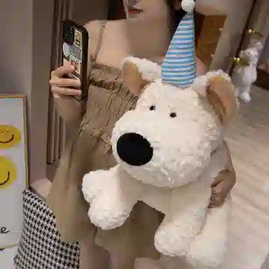 28cm40cm