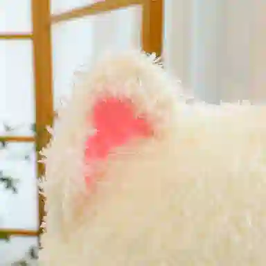 MORTEN SOLUM 35cm50cm65cm