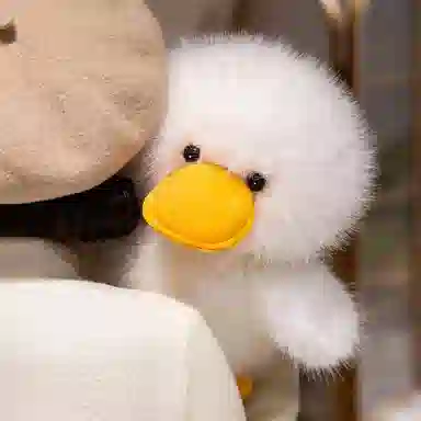 MORTEN SOLUM 25cm30cm