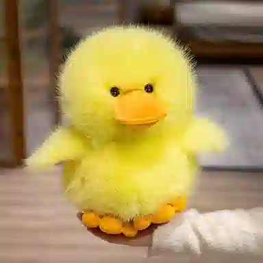 MORTEN SOLUM 25cm30cm