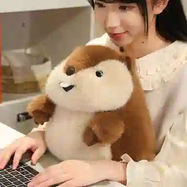 MORTEN SOLUM 12cm35cm