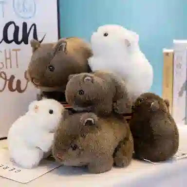 MORTEN SOLUM 18cm20cm22cm25cm