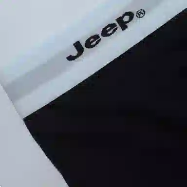 Jeep Logo 3