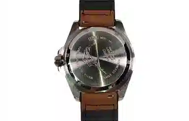 CASIO MDV106-1A Satin Star Edition