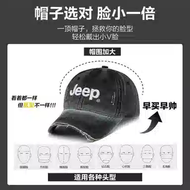 Jeep ins