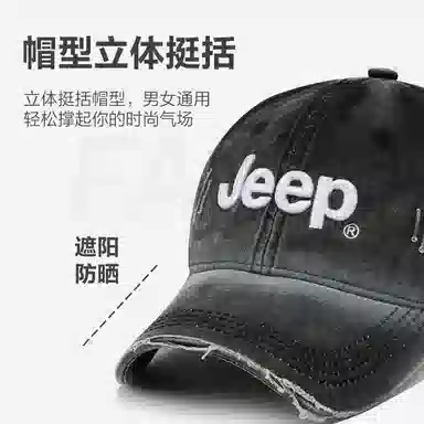 Jeep ins