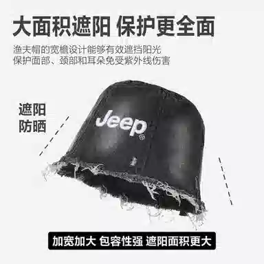 Jeep ins