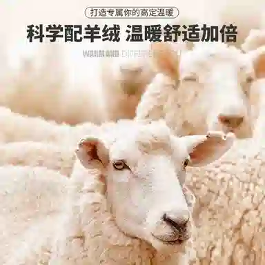 Automobili Lamborghini