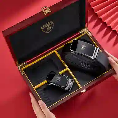 Automobili Lamborghini