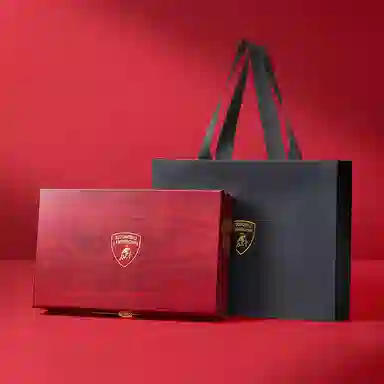 Automobili Lamborghini