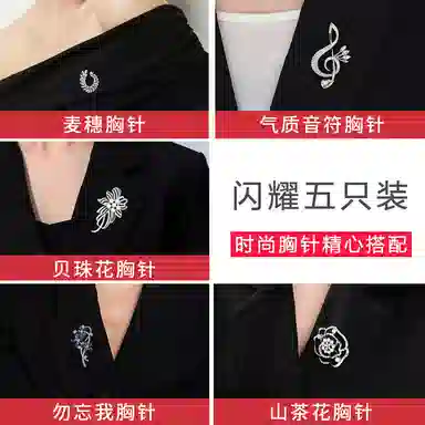 缔晶 经典轻奢时尚胸花套装 精致浪漫通勤风配饰礼盒 合金 胸针 女款