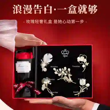 缔晶 森系精致优雅时尚胸花 春夏通勤造型感 合金 胸针 女款