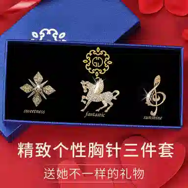 缔晶 精致优雅时尚胸花套装 轻奢高档日常通勤衣服外套搭配配饰 合金 胸针 女款