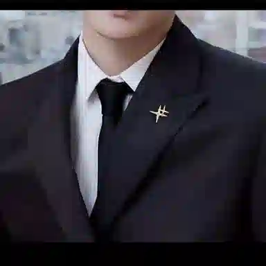 缔晶 轻奢时尚一帆风顺 气质百搭外套上衣通勤 合金 胸针 男款