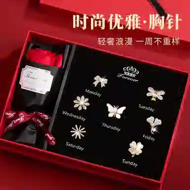 缔晶 森系甜美时尚套装 日常通勤配饰礼盒 合金 胸针 女款