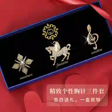 缔晶 精致优雅时尚胸花套装 轻奢高档日常通勤衣服外套搭配配饰 合金 胸针 女款