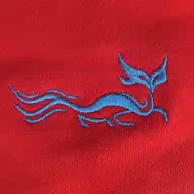 Arcteryx Emblem logo