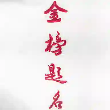 Nike T