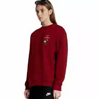 Arcteryx Emblem logo