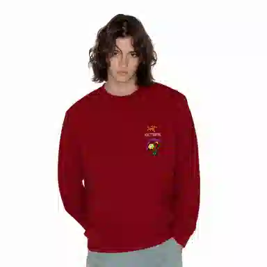 Arcteryx Emblem logo