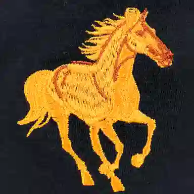 THE NORTH FACE Polo