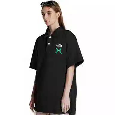 THE NORTH FACE logoPolo